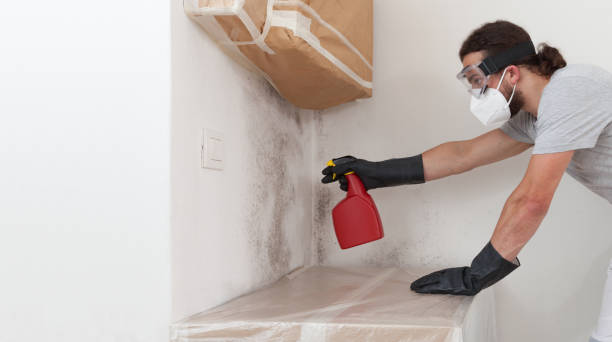 Professional Bathroom Mold Removal technician working in Clinton, MI