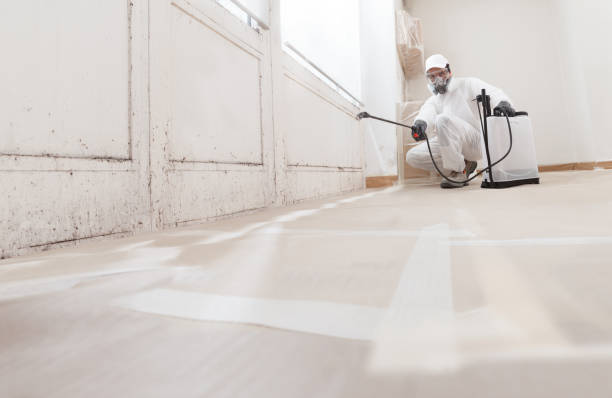 24/7 Emergency Bathroom Mold Removal experts in Clinton, MI