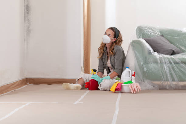Reliable Bathroom Mold Removal contractor in Clinton, MI by Car Mold Remediation